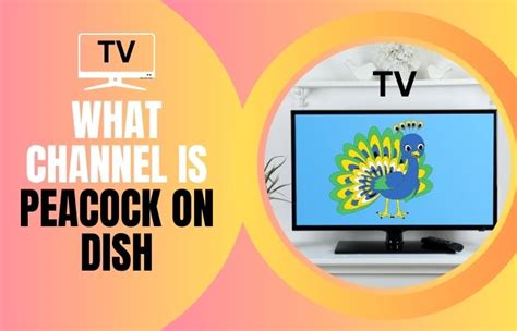 Dish Network and Peacock